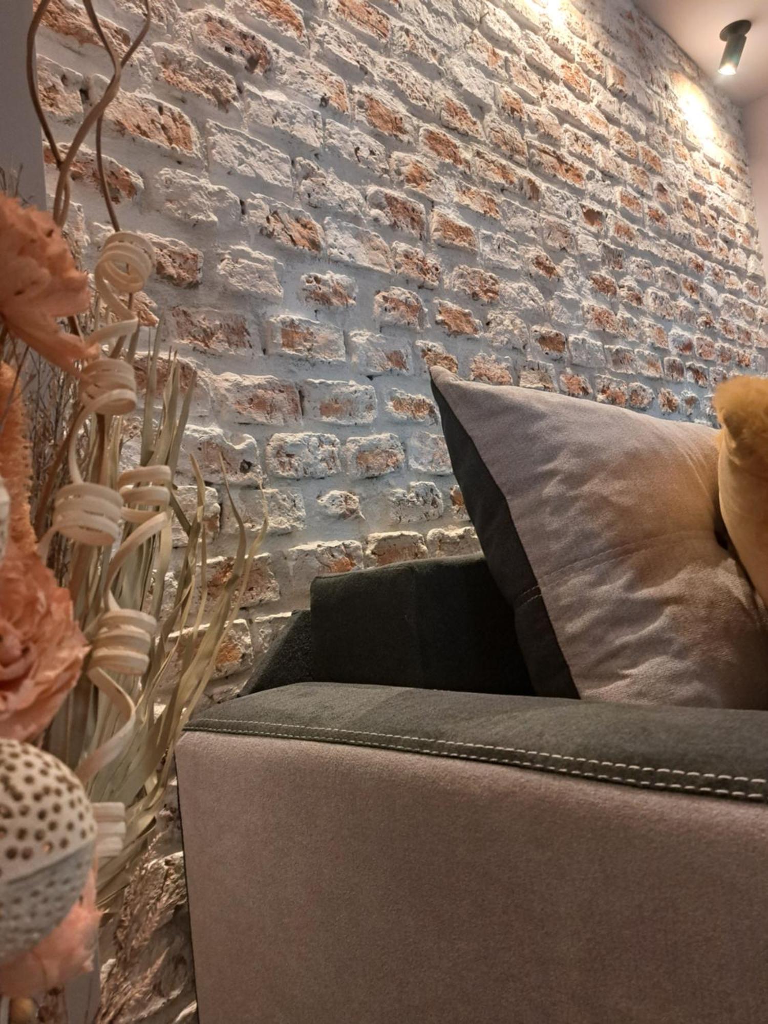 Casa Ileana Centrul Vechi Brasov Apartment Екстериор снимка